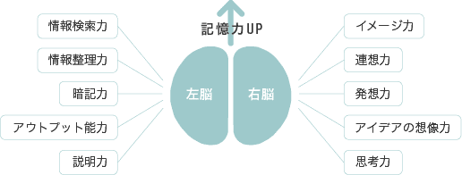 SP���L���p�g���[�j���O�ł́A���]�̏�񌟍��́E�ËL�́E�A�E�g�v�b�g�\�͂�A�E�]�̃C���[�W�́A�A�z�́A���z�͂Ȃǂ�\�𑍍͂��I�ɊJ�����A���̓�����ǂ����܂��B