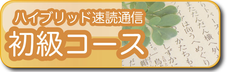 ハイブリッド速読通信　初級コース