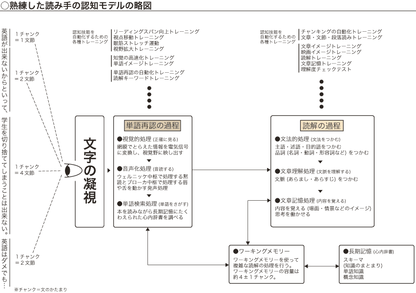 熟練した認知モデルの略図