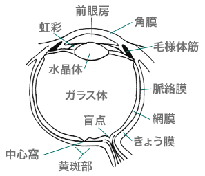 gankyu1.gif(9838 byte)