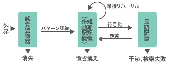 人間の記憶のシステム